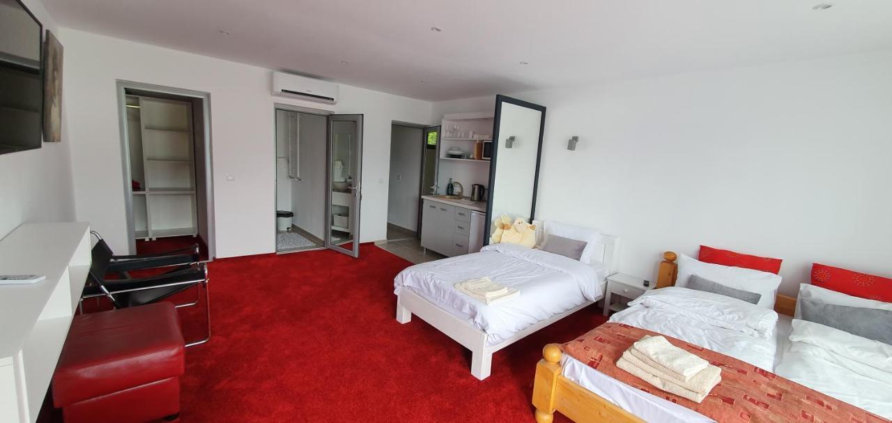 Modern Rooms Colibiţa 外观 照片