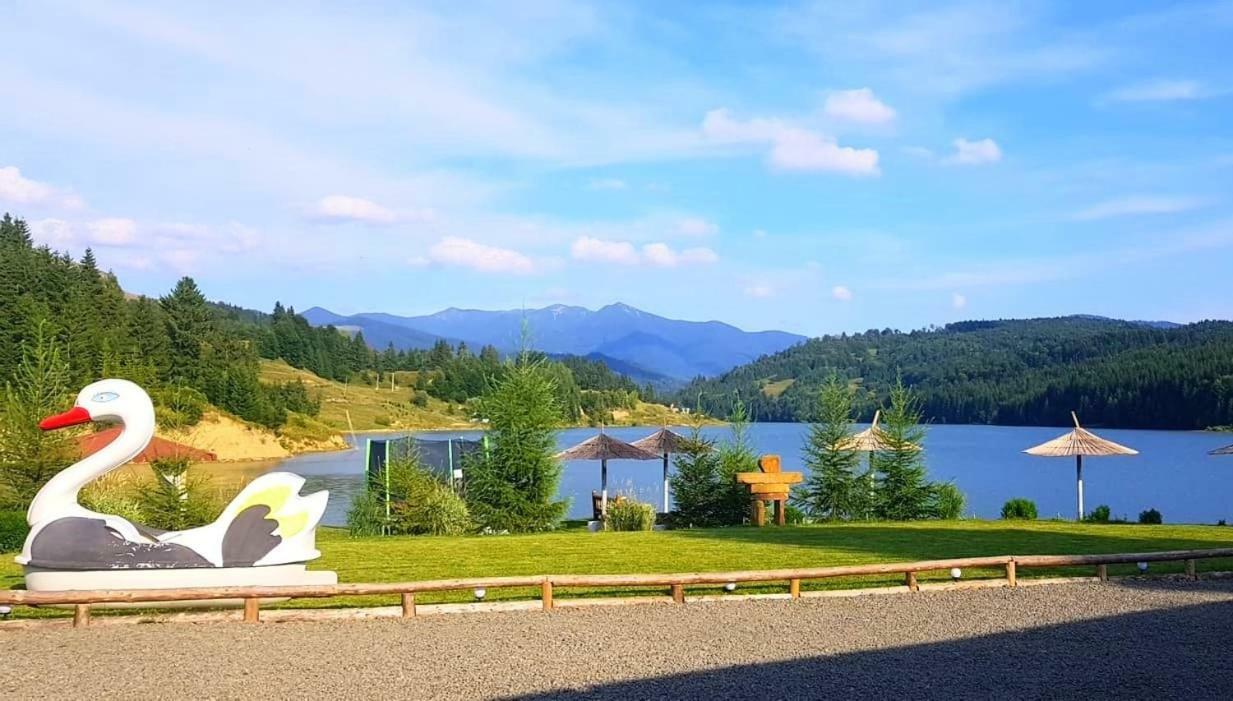Modern Rooms Colibiţa 外观 照片